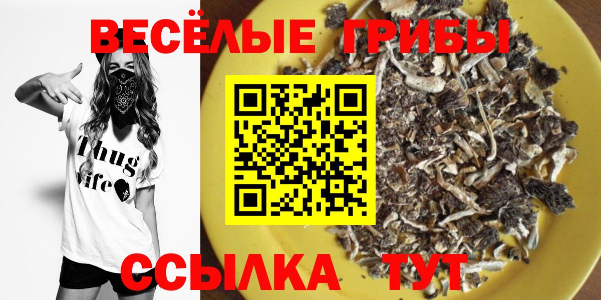 Псилоцибиновые грибы мицелий Россошь