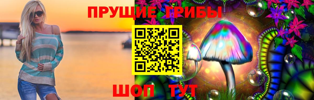 Россошь  Псилоцибиновые грибы Psilocybine cubensis  Вход с VPN 
